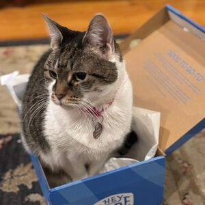 Meet your Posher, Lisa